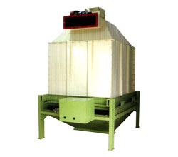 ����鿴��